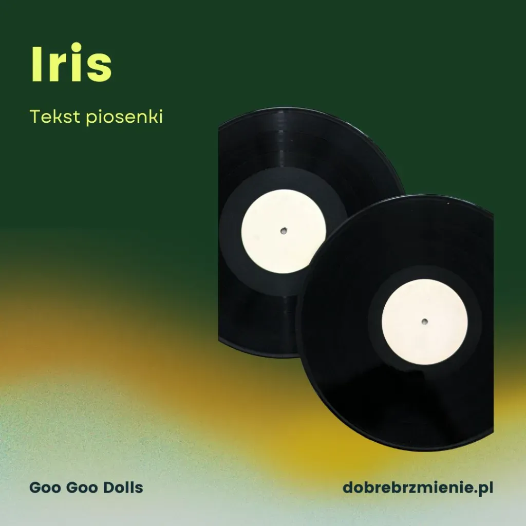 goo goo dolls iris tekst